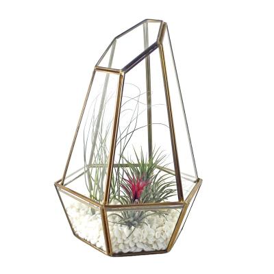 China Traditional supply irregular glass gold and black geometric mini greenhouse for succulent and plant for sale