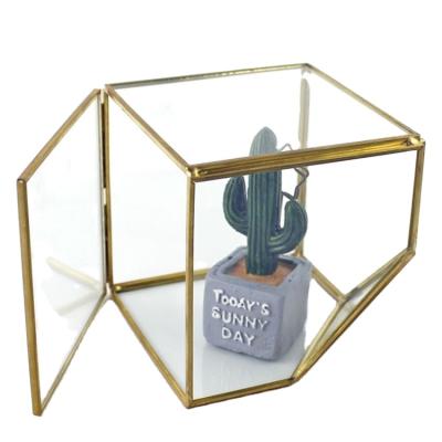 China Traditional Wholesale Container Hanging Geometric Glass Mini Greenhouse for sale