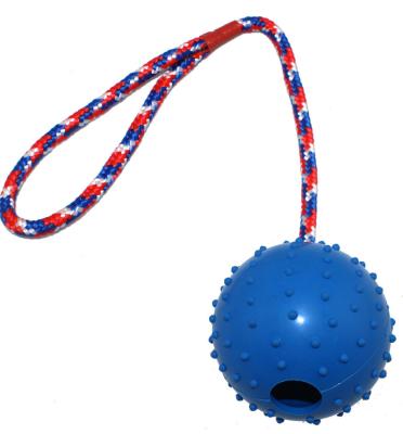 China Viable Indestructible Interactive Rubber Dog Treat Dog Toys Pets Exercising Chew Toy Ball With Rope for sale