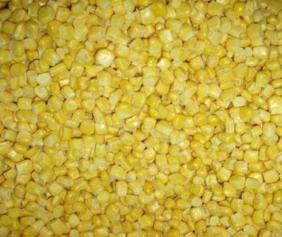 China FROZEN 2022 crop hot sales A grade factory low price organic frozen corn BRC IQF corn BRC ISO HACCP ISO certificated for sale