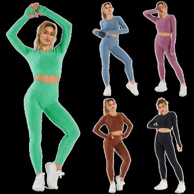 China 2021 Workout Seamless Shark Long Sleeve Pants New Breathable Sexy Tight Seamless Sportswear Yoga Pants Gaiters Shirts Or Bra 2 Piece Sets for sale