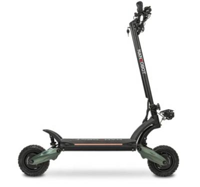 China Nanrobot Unisex With Trunk Oil Interrupted New Design D6+ 2000w Dual Road High Speed ​​Motor Electric Scooter For Adult for sale