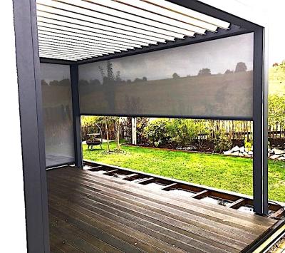 China Venetian Outdoor Commercial Zip Track Blackout Motorized Ziptrack Outdoor Blind Screen for sale