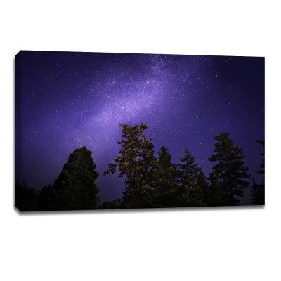 China Modern Starry Night Posters Wall Canvas Prints Good Art Printing Service With Stretcher Bar for sale