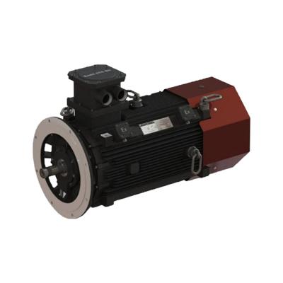 China Totally Enclosed High Explosion Proof Rating YBX5 Series High Efficiency Explosion Proof Three Phase Asynchronous Motor (IP55) for sale