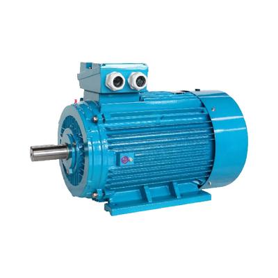 China 0.75kw LE5 series 0.75kw LE5 three-phase asynchronous AC motor ultra-high energy saving totally enclosed vertical and recumbent efficiency for sale