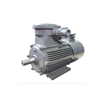 China YBBP Series Fully Enclosed Type Frequency Conversion Speed ​​Regulation Three Phase Asynchronous Motor Explosion Proof for sale