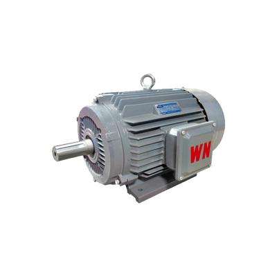 China YE3 Asynchronous or Evrensel Mixer Fan De Dobl Eje Del Ventil Blower Condenser Price High Electric AC Motor for sale