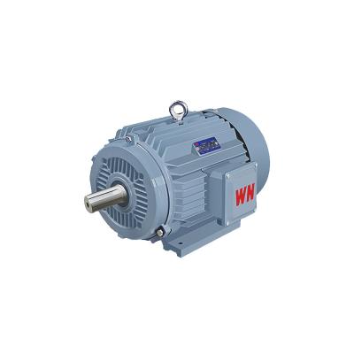 China YE4 Series AC Induction Motor Totally Enclosed High Efficiency Electric Three Phase Induction Asynchronous Motor for sale