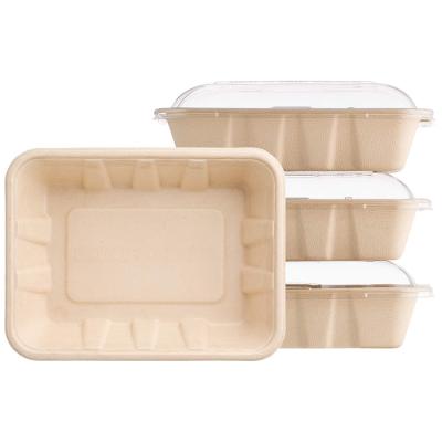 China Customized Eco Friendly Disposable Diaposable Sugar Cane Box 100% Biodegradable Compostable Box for sale