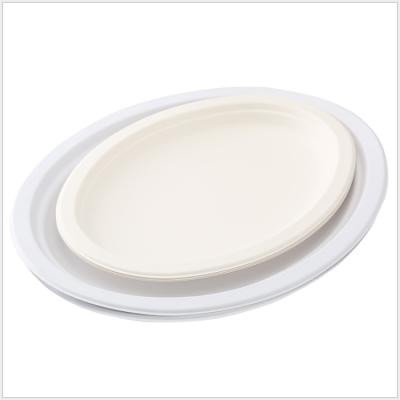 China Disposable Sustainable Biodegradable Compostable Pulp Paper Bamboo Bagasse Oval Sugar Cane Dish for sale