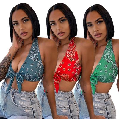 China Hot Sale JH5860 QUICK DRY Paisley Print Lace Up Sexy Wholesale Loose Crop Tops 2021 Women's Backless Crop Tops Halter V Neck Crop Top Women for sale