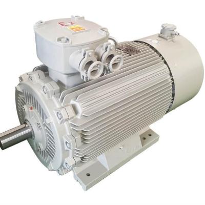 China 2023 YBBP 11KW-315KW 2P 4P 6P 8P IP55 Explosion Proof Three Phase AC Induction Motor for sale