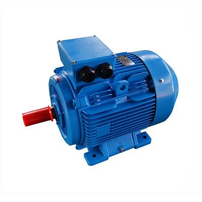 China YE4 18.5 Kw Totally Enclosed Two Stage Highly Efficient AC Three Phase Induction Motor for sale