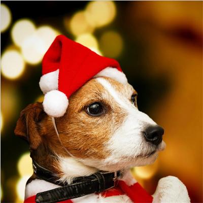 China Wholesale Fashion Spot Christmas Decorations Pet Christmas Wool Hood Dog Hat 2021 New for sale