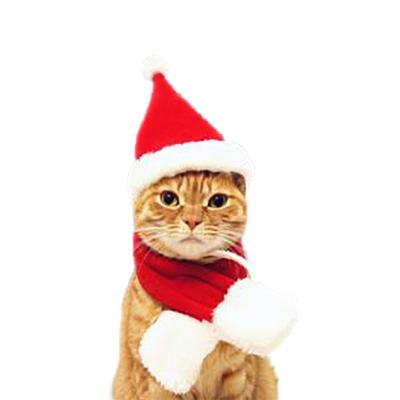 China Breathable Amazon Pet Coat Hat Festival Christmas Costumes Dog Transforms Into Christmas Dress Pet Clothes for sale