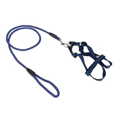 China 2022 New Arrival Viable Colorful Polypropylene Material Dog Leash Slip Rope Dog Leash for sale