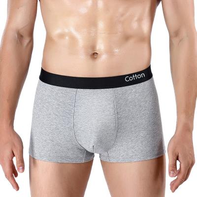 China Breathable Solid Boxers and Antibacterial Man Underwear Cotton Boxer Shorts Mens Boxer Shorts Mens Underwear for sale