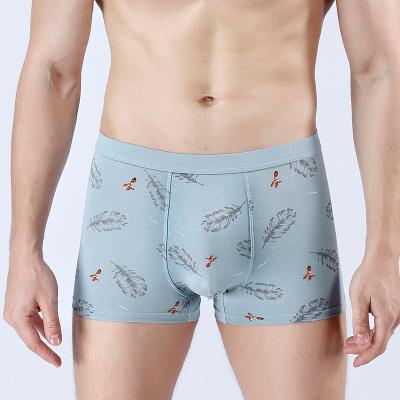 China Anti-Bacterial Printing Pure Cotton Men Underwear Boxers Shorts Breathable Underpants Male blank boxer briefs for sale