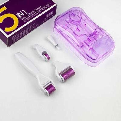 China CE Approval Factory Supply OEM ODM Derma Rolling System Anti-Puffiness Set 5 IN 1 Roller Kit For Face And Body Skin Care Beauty System derma for sale