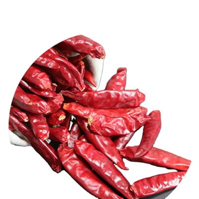 China 100% Chaotian Hot Red Chilli Red Chilli Pods For Hot Pots for sale