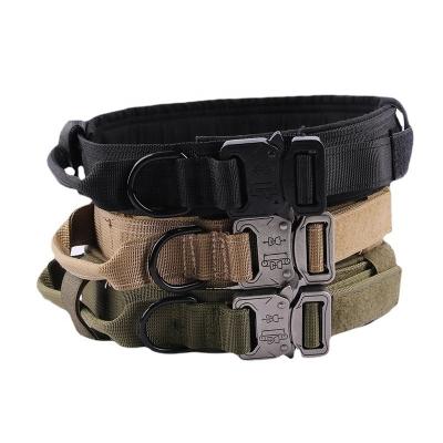 China Thoughtful Goods Military Training Adjustable Thick Dog Collar With Buckle for sale