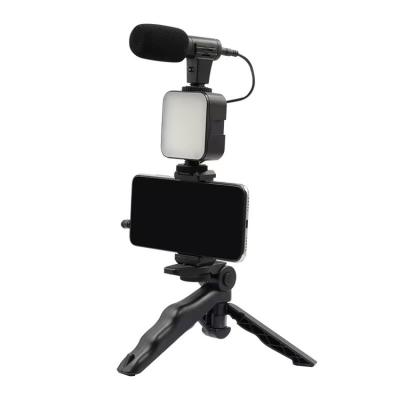 China AY-49 PORTABLE Professional Smartphone Vlog Fill Light Video Kit with Tripod Microphone Phone Holder Remote Controller for Shooting for sale