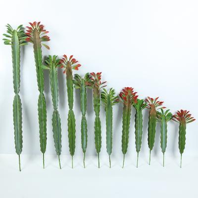 China Wholesale High Simulation Durable Indoor Plant Crafts Decoration Green Plant Leaves Cactus for sale