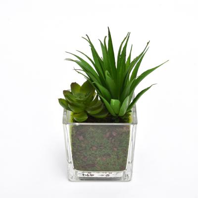 China High simulation top slae adjust plastic artificial plants, potted simulation artificial plants for desktop decoration for sale