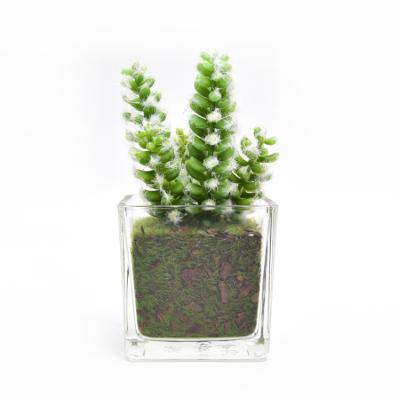 China High Simulation Top Sale Decorating Indoor Plants Artificial Simulation Plant Bonsai Wholesale For Home for sale