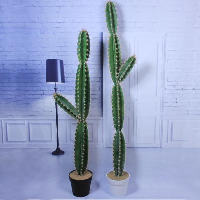 China Simulation high house plant study living room green plant home decoration cactus column floor fresh pot for sale