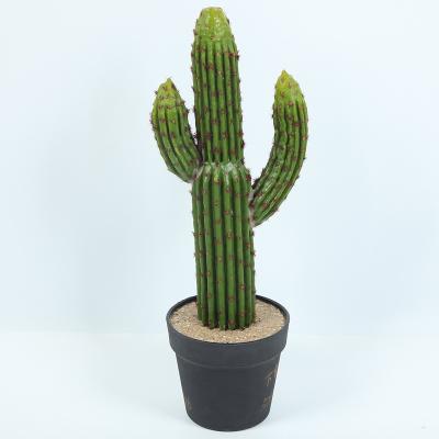 China High Simulation Selling Real Touch Black Fairy Flower Decoration Pillar Thorn Artificial Cactus Potted for sale