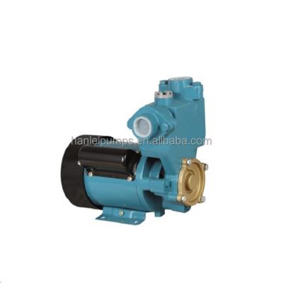 China Developing World Water Solutions Factory Wholesale Household Automatic Clean Water Pump for sale