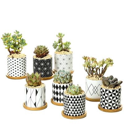 China Durable Succulent Plant Pot Custom Nordic Style Ceramic Indoor De Macetas With Small Hole for sale