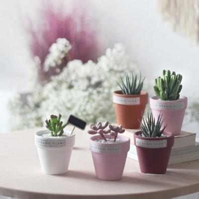 China Modern Wholesale Multicolor Cheap Glazed Mini Terracotta Home Decor Garden Flower Pots For Succulent Plants for sale