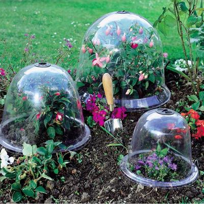 China Modern Garden Cloche Dome Plant Bell Flower Covers For Seeds Decor Planting Protector Cover Plastic For Backyard Plant Cover for sale