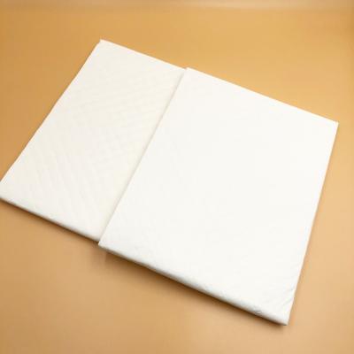 China Printed Disposable Incontinence Underpads Training Pads For Dog for sale