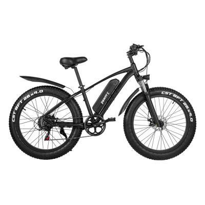 China Aluminum Alloy 48V 12.8Ah 1000W Fat Tire E Bike Disc Brake Cheap Double Electric Bike Price Fat Tire for sale