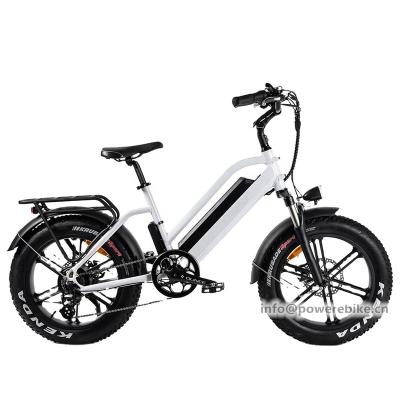 China 2021 Luxury Cruiser Ebike 20inch Fat Tire 750W Alloy Magnesium Electric Bike for sale