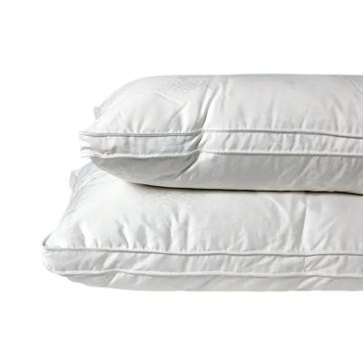 China 48*74cm fashion style anti-static warm modern single bed pillows for bed sleep for sale