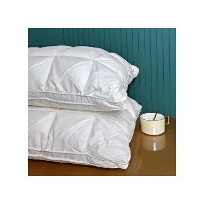 China Autumn And Winter Use White Direct Selling Anti-Static Bed Pillow With Anti-Static for sale