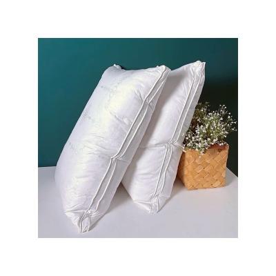 China Fashion Anti-Static Design High End Househeld Bedroom Supplies Goose Down Bed Pillows for sale