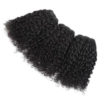 China Hair Vendor Cuticle Aligned Brazilian Hair Pixie Curl Wholesale Human Hair Extension Drawn Superb Curly Virgin 12A Pixie Hair Bundle Double Funmi for sale