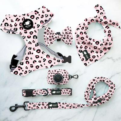 China 6 PieceLovely Loose and Soft Pull Rope Collar Leash Bow Tie Printed Pet Harness Set for Dogs for sale