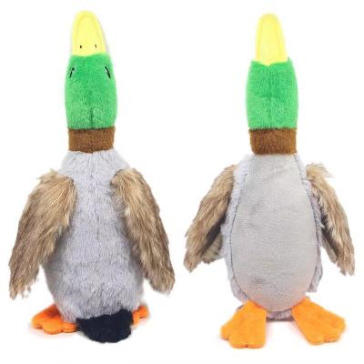 China Newest Sustainable Plush Mallard Wild Duck Customized Style Big Dog Toys Wholesale Squeaky Dog Toy for sale