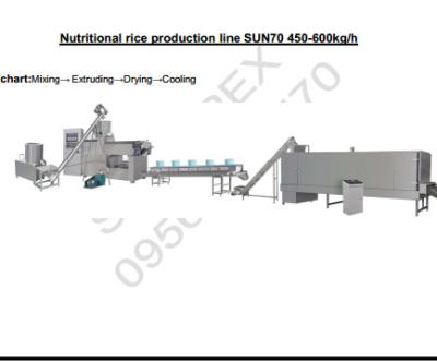 China Nutritional Enriched Rice Rice Machine for sale