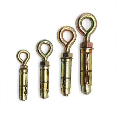 China Steel Heavy Duty Shield Shield Anchor 3 Pcs Secure Bolt With Eye Bolt for sale