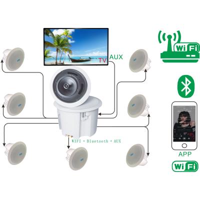 China Mini System High quality wireless WIFI+BLU home theater system. ceiling home installation with built-in power amplifier 50W*1+20 for sale