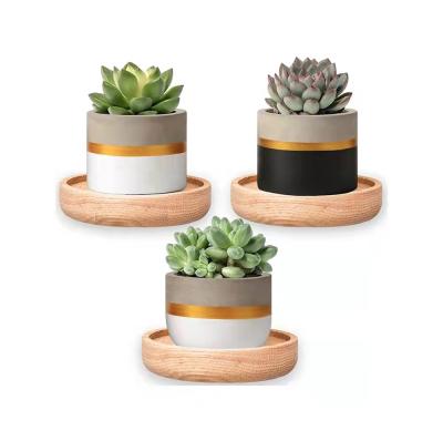 China Home Decoration Display Rack Wood Wall Mounted Floating Shelf Set Of 3 - Small Circle Plant Wall Shelf Modern And Decorative Mini Shelf for sale