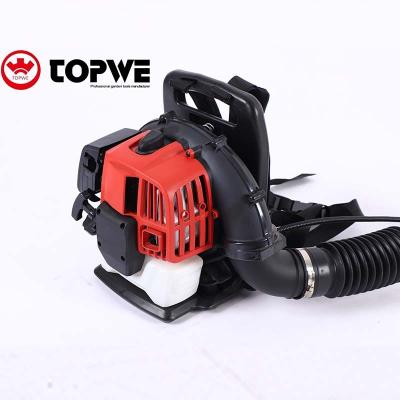 China TOPWE C.D.I Blowers Diaphragm Carburetor Type Snow Blower Centrifugal Blower 4301 for sale